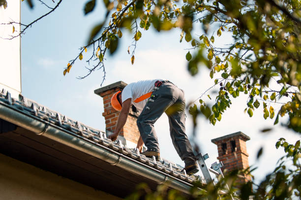 Best Roof Gutter Cleaning  in Mount Sterling, OH